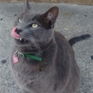 Meet your Posher, Vincent